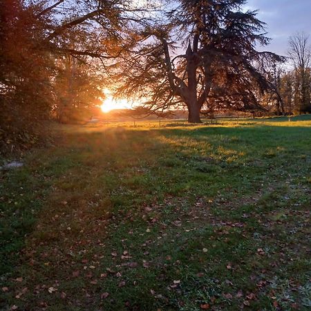 Chateau De Maucouvent Challuy Екстер'єр фото