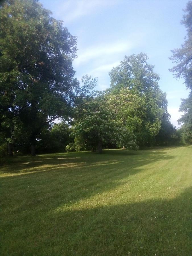 Chateau De Maucouvent Challuy Екстер'єр фото