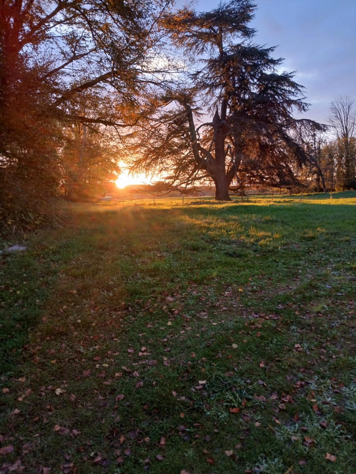 Chateau De Maucouvent Challuy Екстер'єр фото
